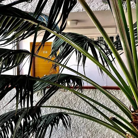 Apartment Tinache Parisian *